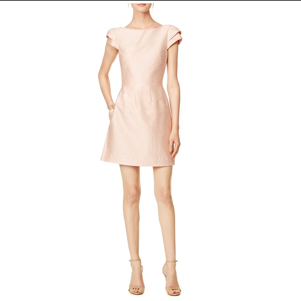 Like-New Halston Blush Imprint Dress Size 4